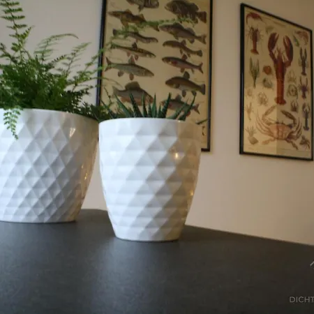 아파트 Dichter & Denker 바이마르