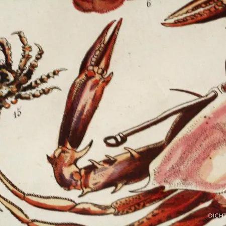 Dichter & Denker Appartamento Weimar (Thuringia)