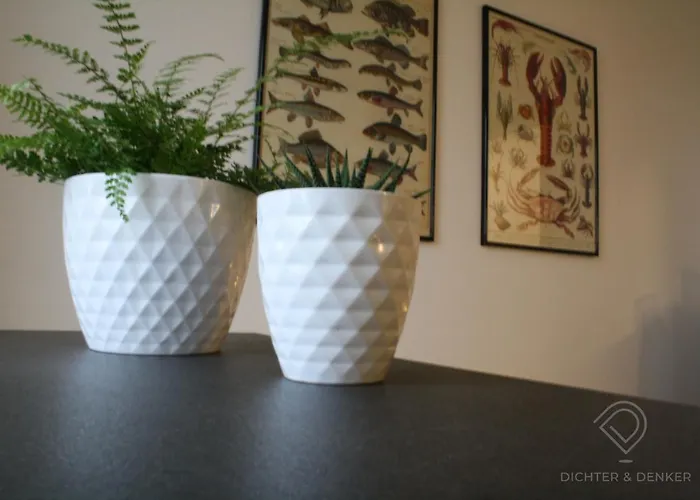 شقة Dichter & Denker فايمر