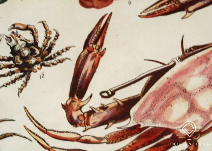 Dichter & Denker شقة فايمر